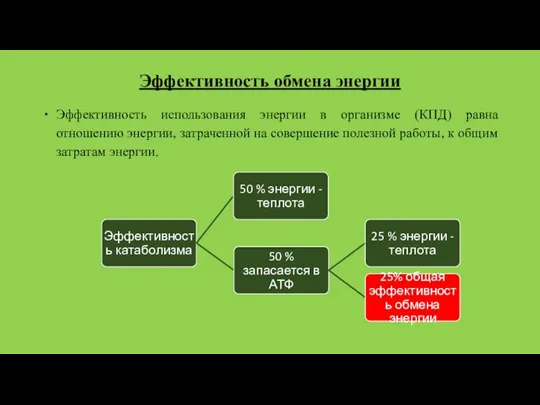 Эффективность обмена энергии Эффективность использования энергии в организме (КПД) равна отношению энергии,