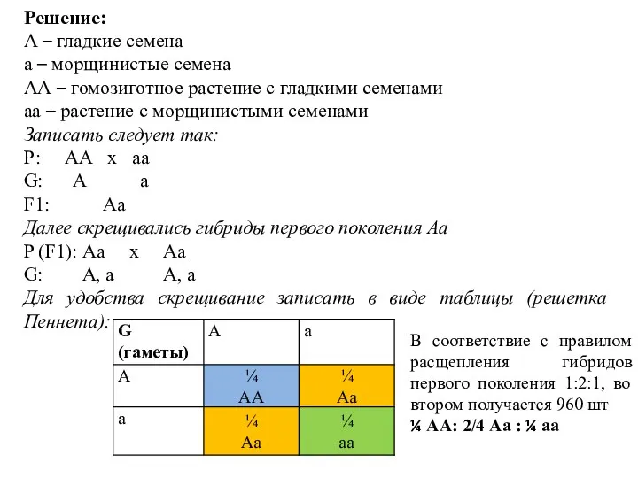 Решение: А – гладкие семена а – морщинистые семена АА – гомозиготное