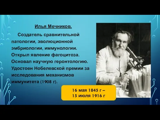 Илья Мечников. Создатель сравнительной патологии, эволюционной эмбриологии, иммунологии. Открыл явление фагоцитоза. Основал