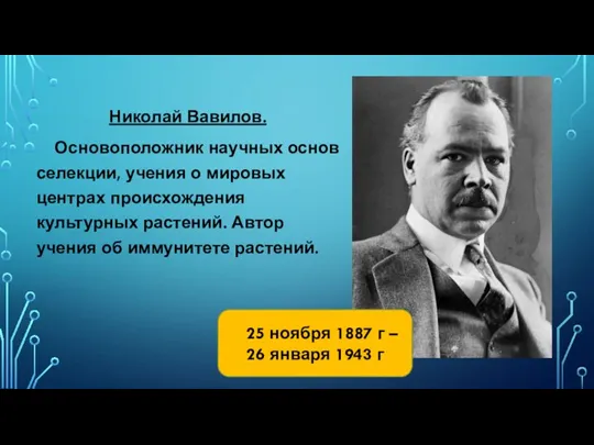 Николай Вавилов. Основоположник научных основ селекции, учения о мировых центрах происхождения культурных