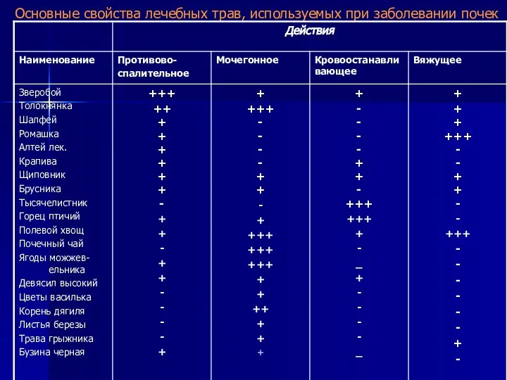 Основные свойства лечебных трав, используемых при заболевании почек