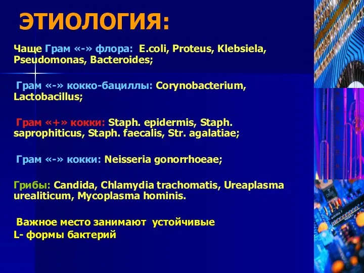 Чаще Грам «-» флора: E.coli, Proteus, Klebsiela, Pseudomonas, Bacteroides; Грам «-» кокко-бациллы: