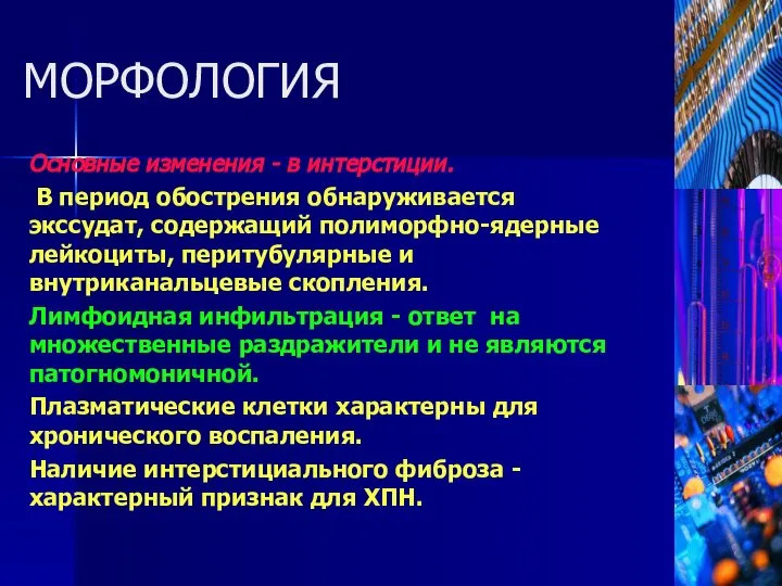 Основные изменения - в интерстиции. В период обострения обнаруживается экссудат, содержащий полиморфно-ядерные