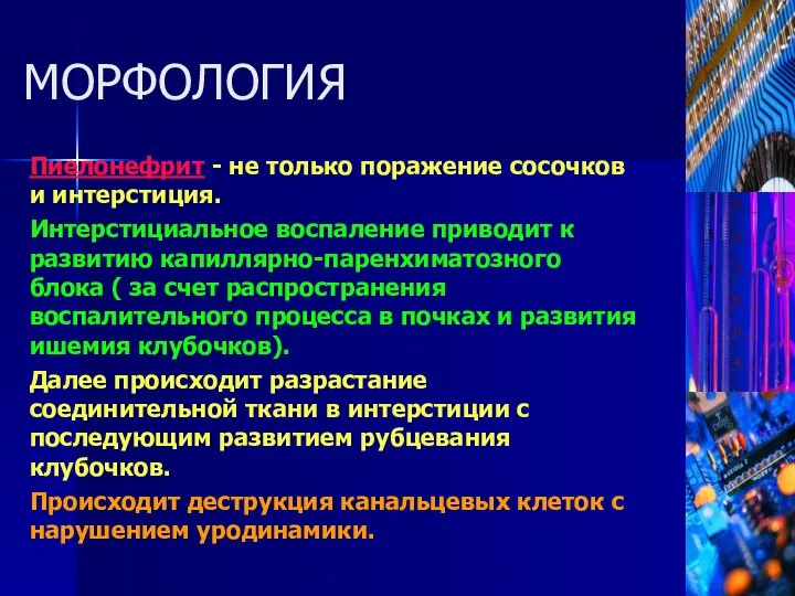 Пиелонефрит - не только поражение сосочков и интерстиция. Интерстициальное воспаление приводит к