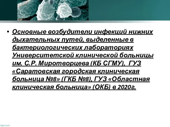 Основные возбудители инфекций нижних дыхательных путей, выделенные в бактериологических лабораториях Университетской клинической