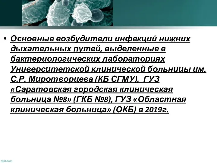 Основные возбудители инфекций нижних дыхательных путей, выделенные в бактериологических лабораториях Университетской клинической