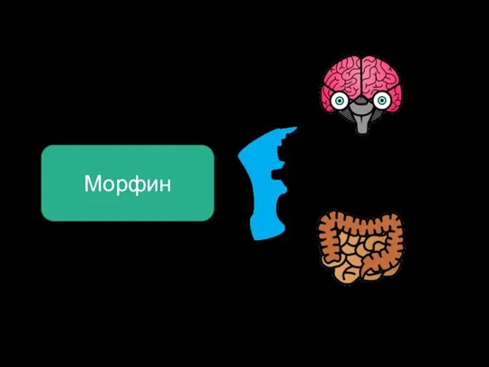 Морфин