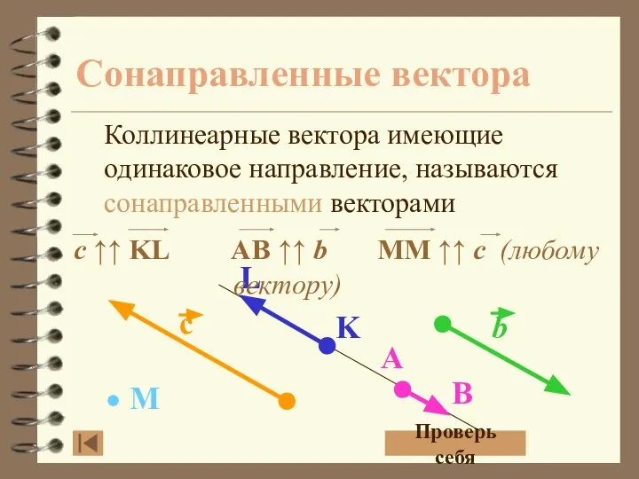 Сонаправленные вектора Коллинеарные вектора имеющие одинаковое направление, называются сонаправленными векторами Проверь себя