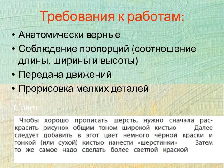 Анатомически верные Соблюдение пропорций (соотношение длины, ширины и высоты) Передача движений Прорисовка