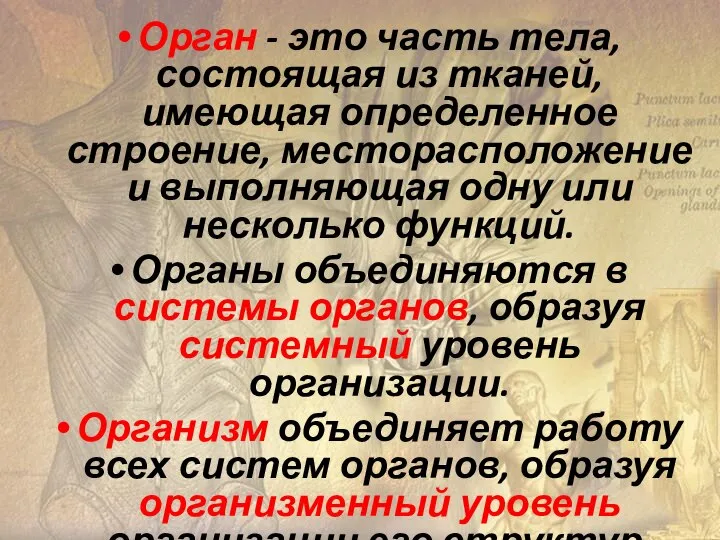 Орган - это часть тела, состоящая из тканей, имеющая определенное строение, месторасположение