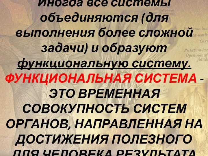 Иногда все системы объединяются (для выполнения более сложной задачи) и образуют функциональную