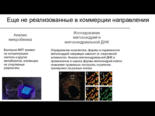 Еще не реализованные в коммерции направления Анализ микробиома Исследование митохондрий и митохондриальной