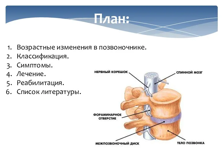 План: Возрастные изменения в позвоночнике. Классификация. Симптомы. Лечение. Реабилитация. Список литературы.