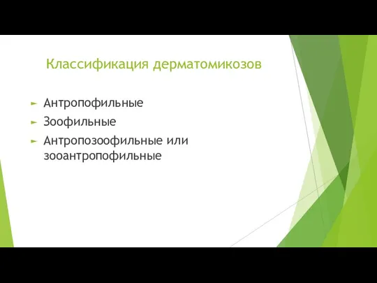 Классификация дерматомикозов Антропофильные Зоофильные Антропозоофильные или зооантропофильные