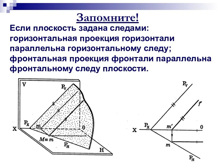 Запомните! Если плоскость задана следами: горизонтальная проекция горизонтали параллельна горизонтальному следу; фронтальная