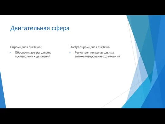 Двигательная сфера Пирамидная система: Обеспечивает регуляцию произвольных движений Экстрапирамидная система Регуляция непроизвольных автоматизированных движений