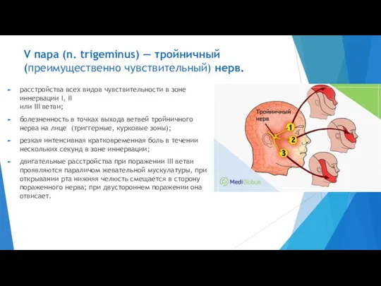 V пара (n. trigeminus) — тройничный (преимущественно чувствительный) нерв. расстройства всех видов