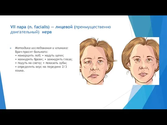 VII пара (n. facialis) — лицевой (преимущественно двигательный) нерв Методика исследования и