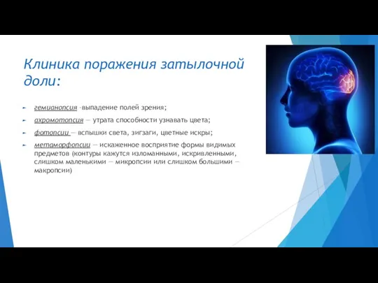 Клиника поражения затылочной доли: гемианопсия –выпадение полей зрения; ахромотопсия — утрата способности