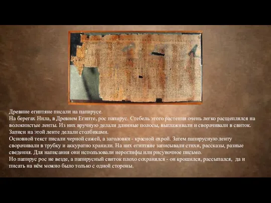 Древние египтяне писали на папирусе. На берегах Нила, в Древнем Египте, рос