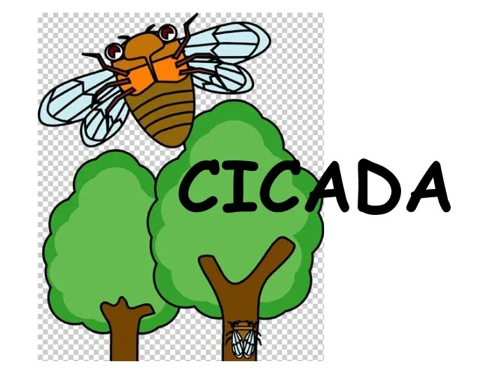 CICADA