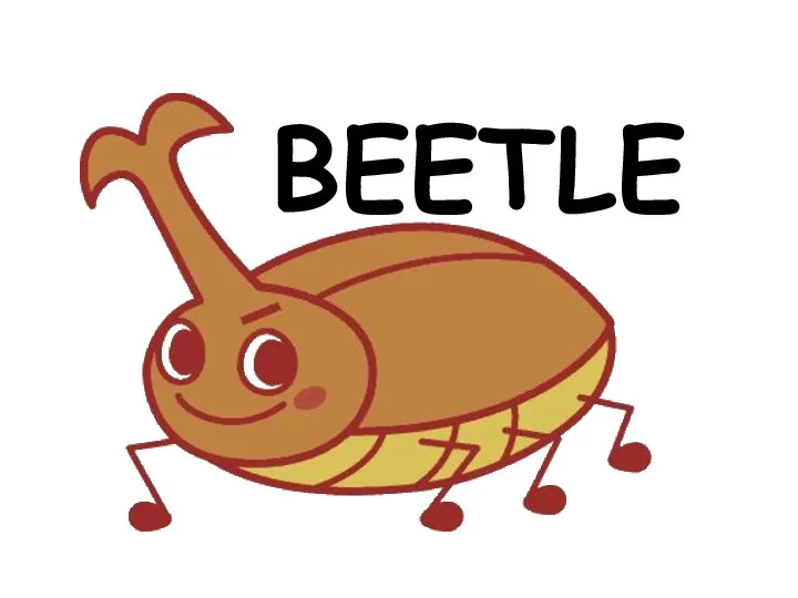 BEETLE