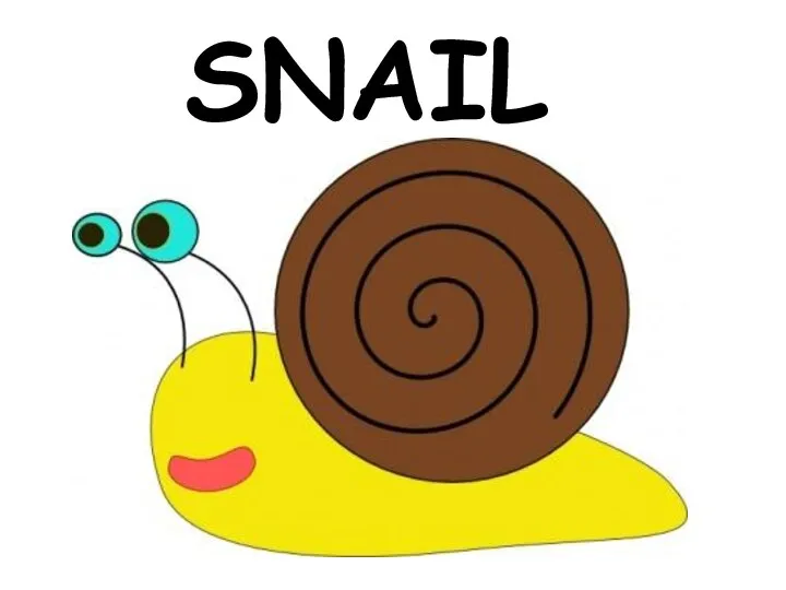 SNAIL