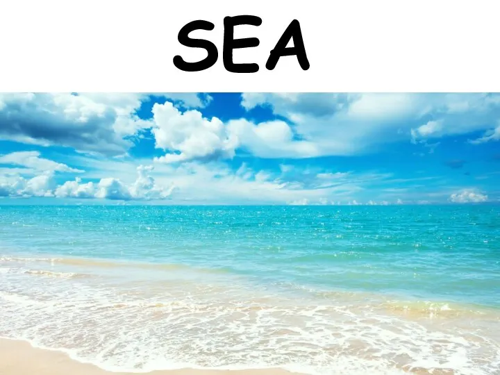 SEA