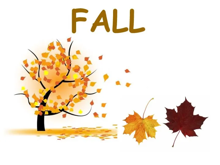 FALL