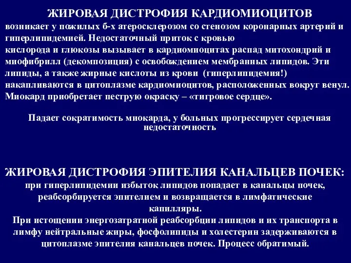 ЖИРОВАЯ ДИСТРОФИЯ КАРДИОМИОЦИТОВ возникает у пожилых б-х атеросклерозом со стенозом коронарных артерий