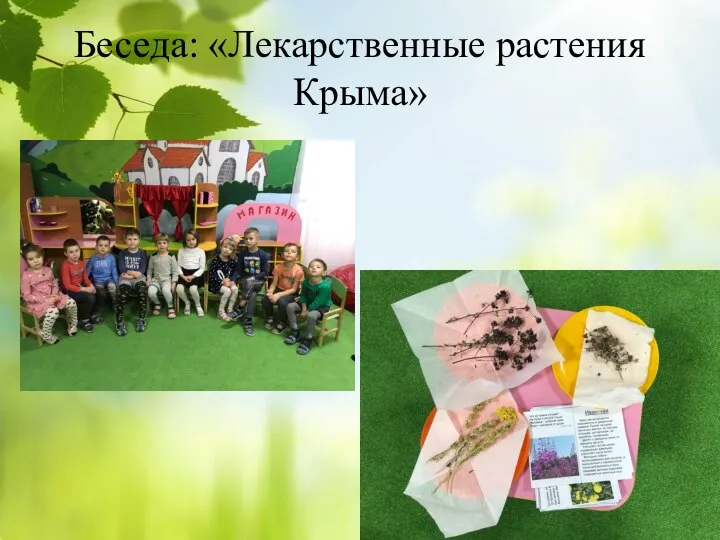 Беседа: «Лекарственные растения Крыма»