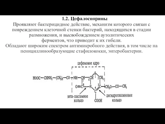 1.2. Цефалоспорины Проявляют бактерицидное действие, механизм которого связан с повреждением клеточной стенки