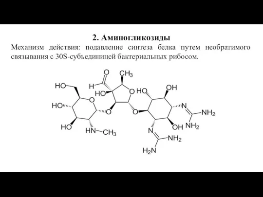 2. Аминогликозиды Механизм действия: подавление синтеза белка путем необратимого связывания с 30S-субъединицей бактериальных рибосом.