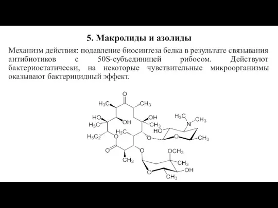 5. Макролиды и азолиды Механизм действия: подавление биосинтеза белка в результате связывания