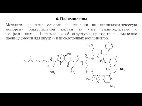 6. Полимиксины Механизм действия основан на влиянии на цитоплазматическую мембрану бактериальной клетки