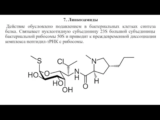 7. Линкозамиды Действие обусловлено подавлением в бактериальных клетках синтеза белка. Связывает нуклеотидную