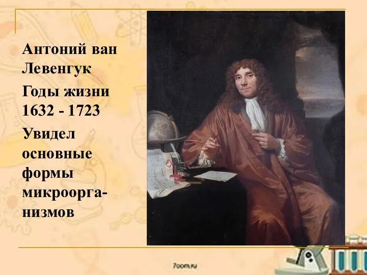 Антоний ван Левенгук Годы жизни 1632 - 1723 Увидел основные формы микроорга-низмов