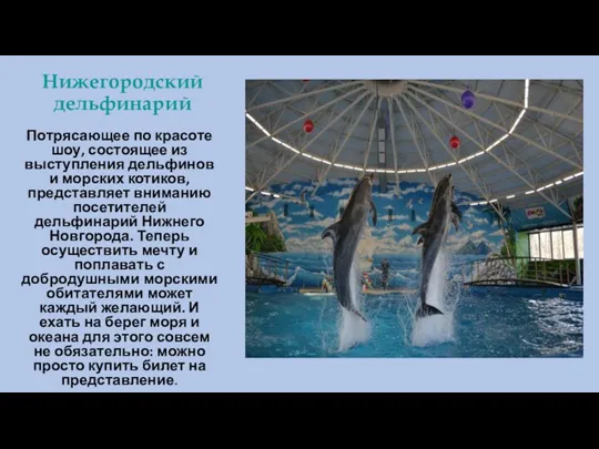 Нижегородский дельфинарий Потрясающее по красоте шоу, состоящее из выступления дельфинов и морских
