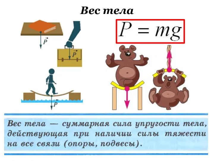 Вес тела