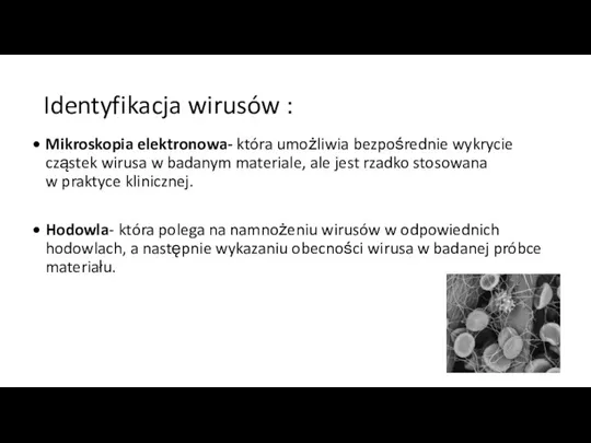 Identyfikacja wirusów : Mikroskopia elektronowa- która umożliwia bezpośrednie wykrycie cząstek wirusa w