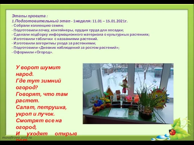 Этапы проекта : 1.Подготовительный этап - 1неделя: 11.01 – 15.01.2021г. - Собрали