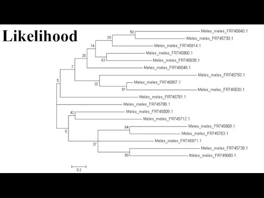 Likelihood