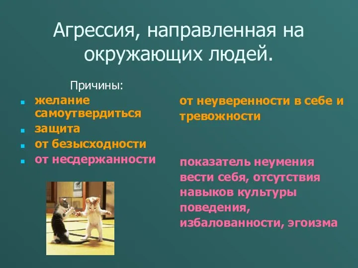 Агрессия, направленная на окружающих людей. Причины: желание самоутвердиться защита от безысходности от