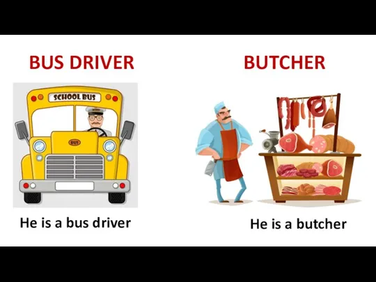 BUS DRIVER BUTCHER He is a bus driver He is a butcher