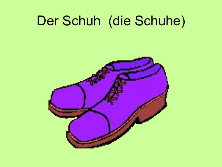 Der Schuh (die Schuhe)