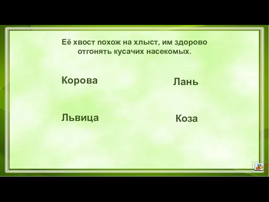 Корова Коза Лань Львица Её хвост похож на хлыст, им здорово отгонять кусачих насекомых.