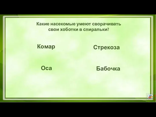 Комар Бабочка Стрекоза Оса Какие насекомые умеют сворачивать свои хоботки в спиральки?