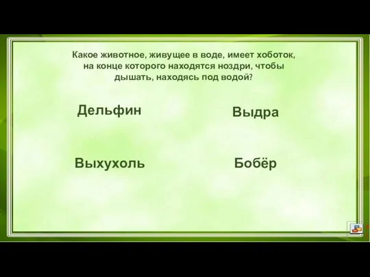 Дельфин Выхухоль Выдра Бобёр Какое животное, живущее в воде, имеет хоботок, на