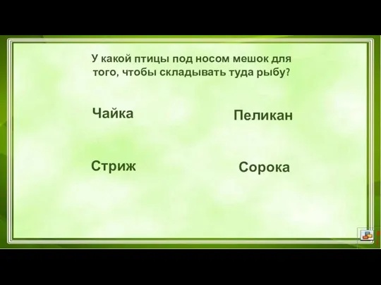 Чайка Сорока Пеликан Стриж У какой птицы под носом мешок для того, чтобы складывать туда рыбу?