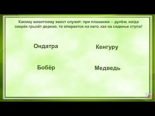 Ондатра Медведь Кенгуру Бобёр Какому животному хвост служит: при плавании — рулём;